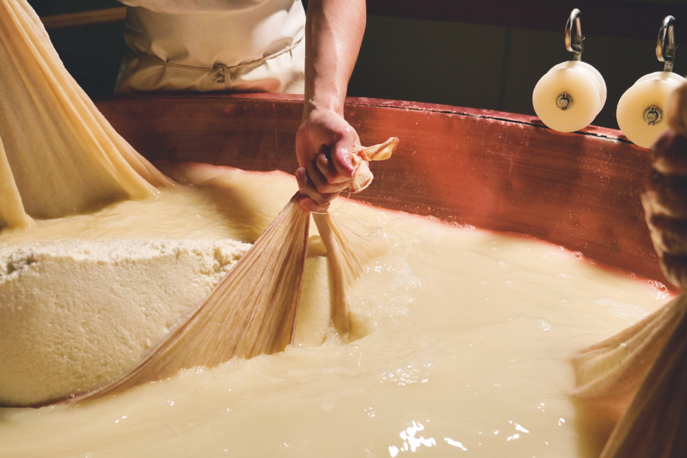 Cheese Making and Acidity