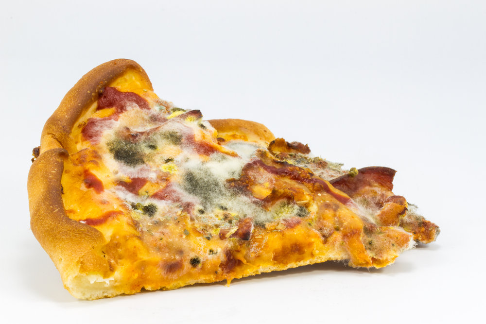 Moldy Pizza