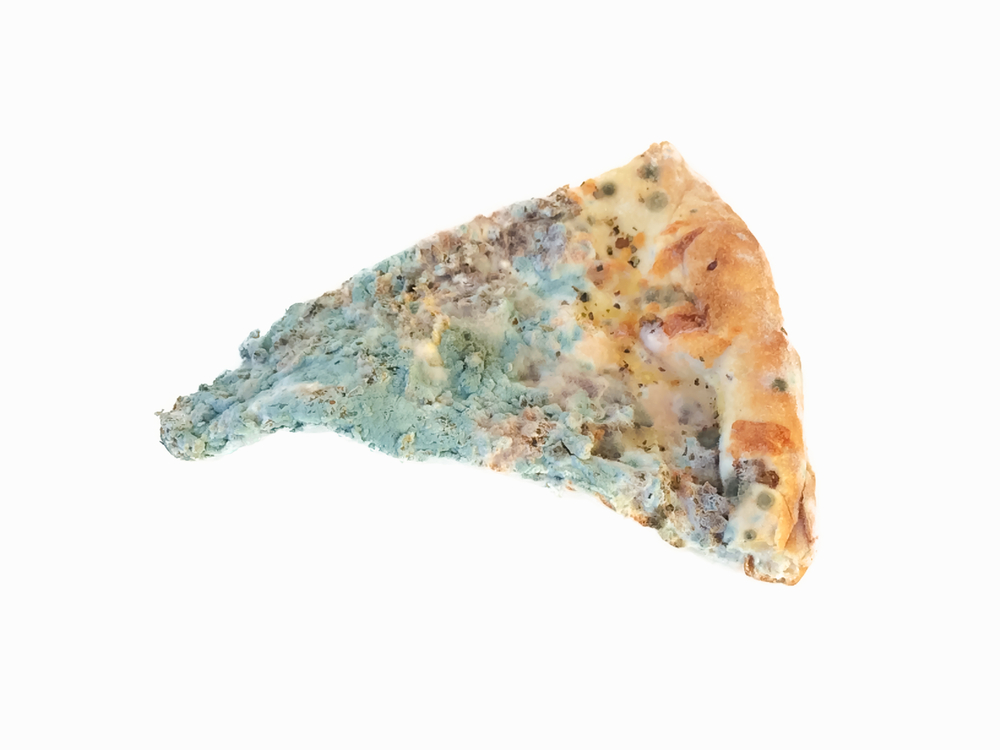 fungus on pizza